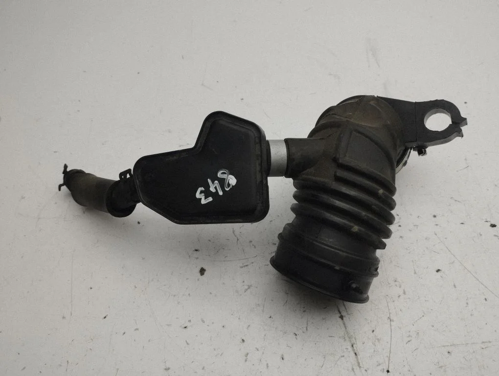 Air intake hose/pipe 165781543R