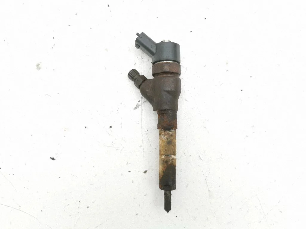 Fuel injector – Peugeot 307 (2001-2005)