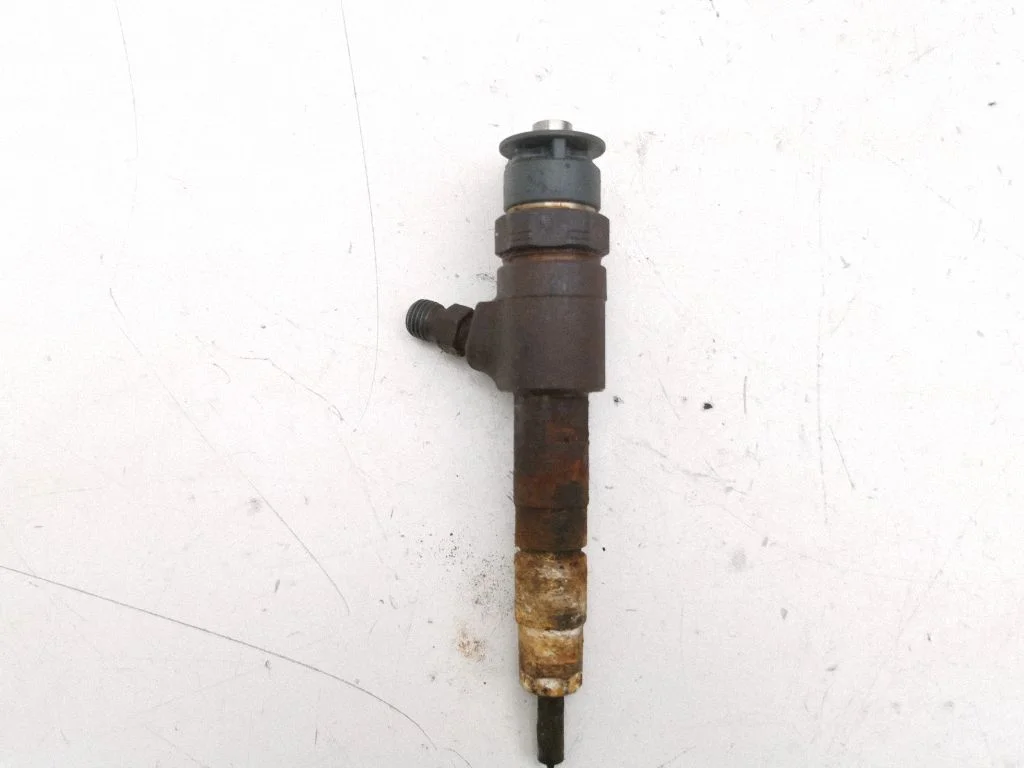 Fuel injector 870692