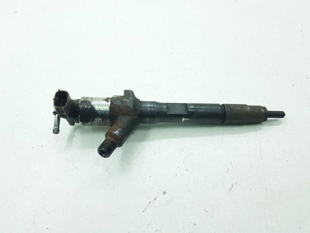 Fuel injector 001107M01877