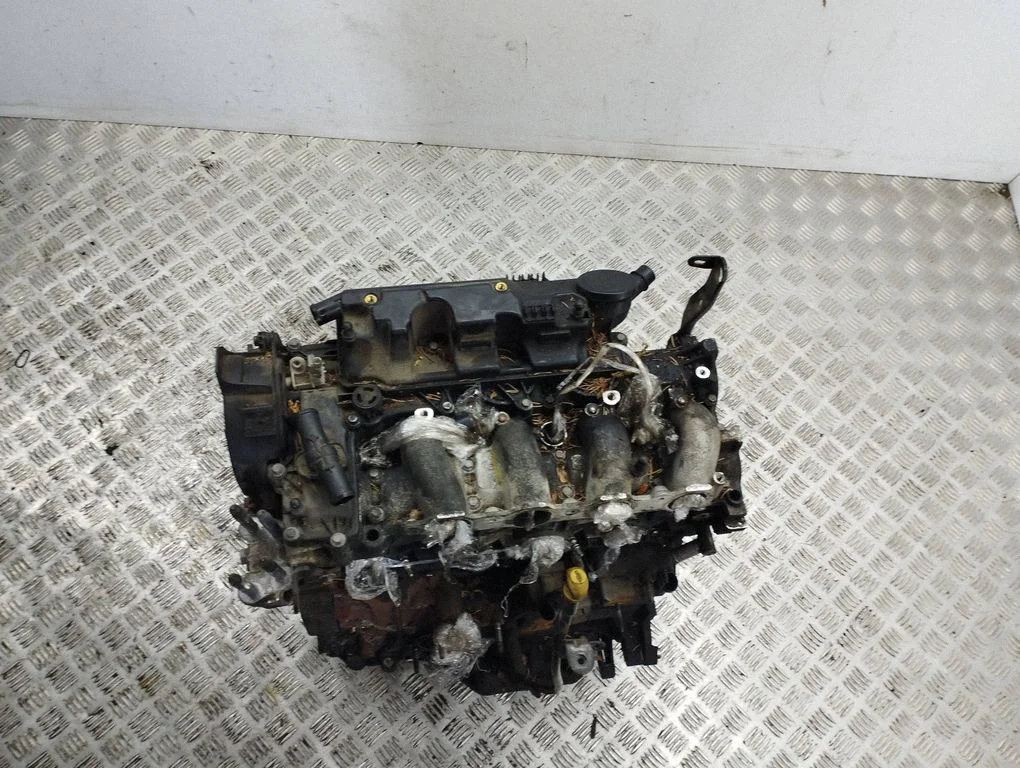 Engine 10DZ69