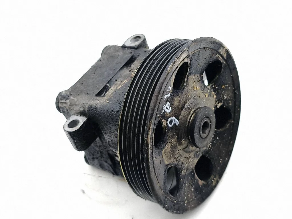 Power steering pump 7613955151