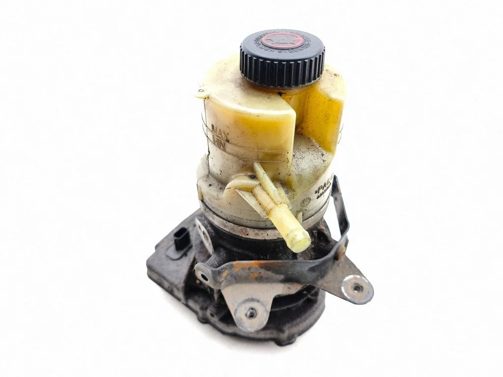 Power steering pump 491100616R