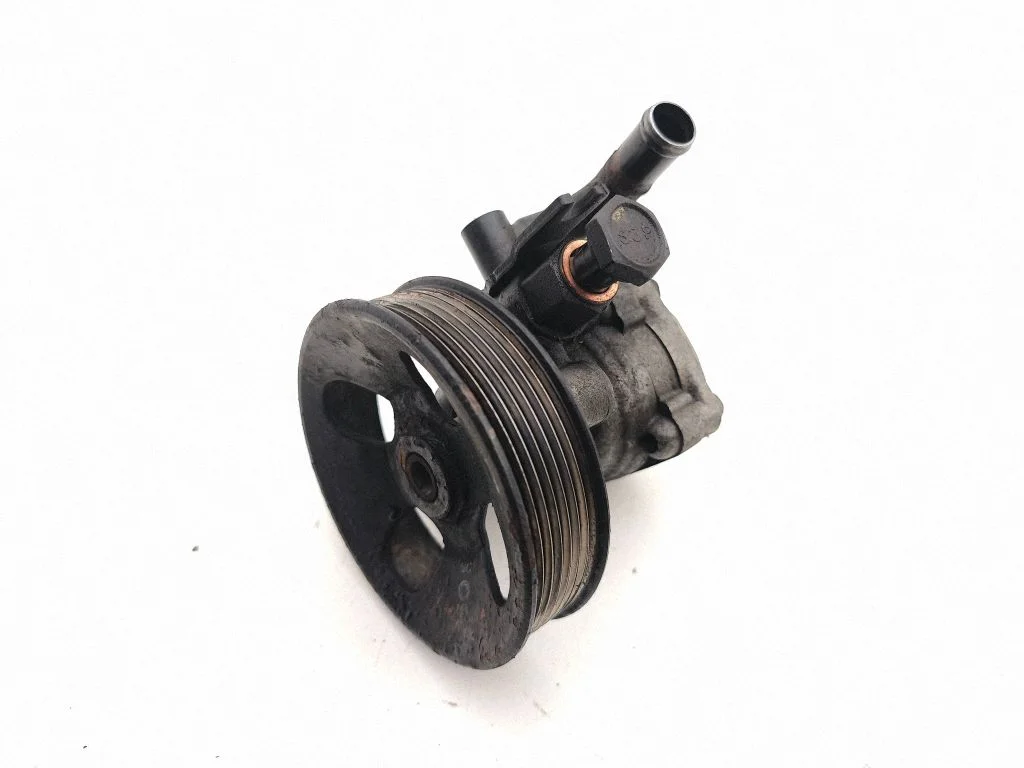 Power steering pump 76024