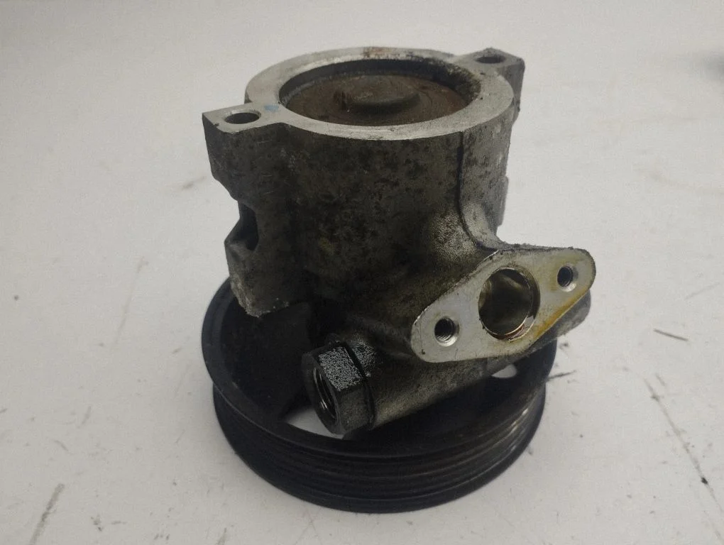 Power steering pump 20070501