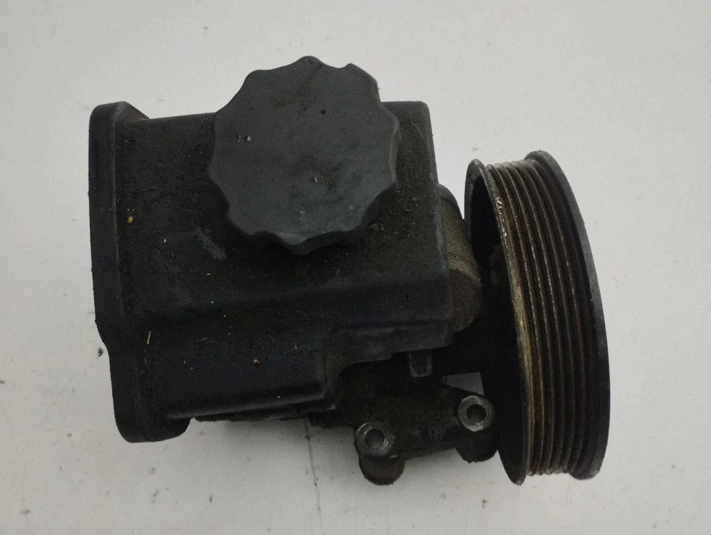 Power steering pump A6042360010