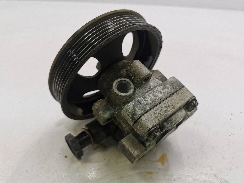 Power steering pump 10051BCG