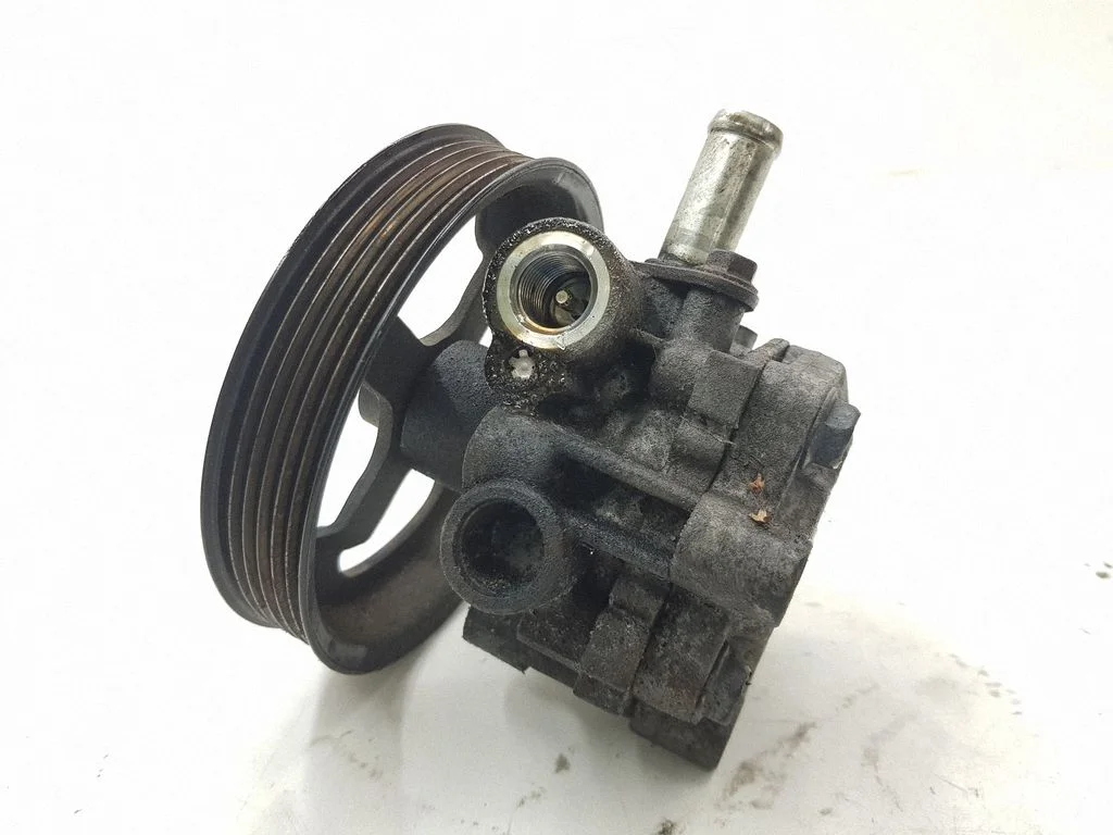 Power steering pump 79101940