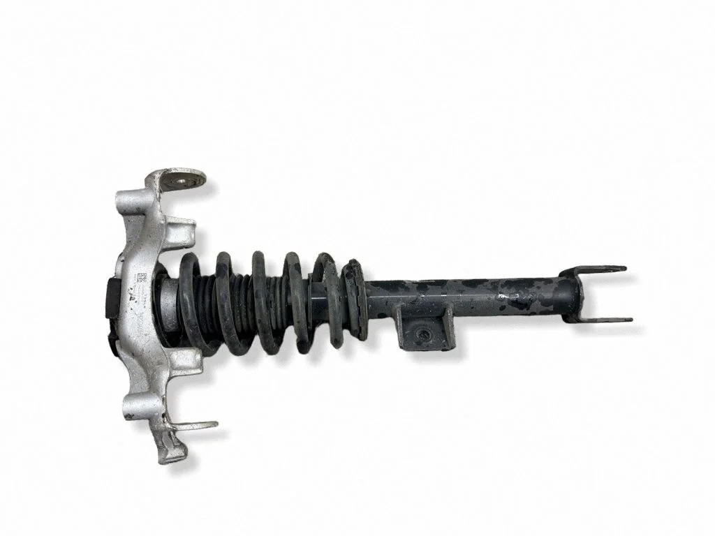 Front shock absorber/damper 118837900B