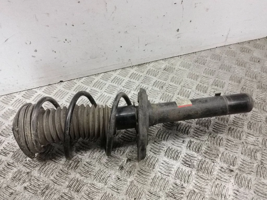 Front shock absorber/damper – left