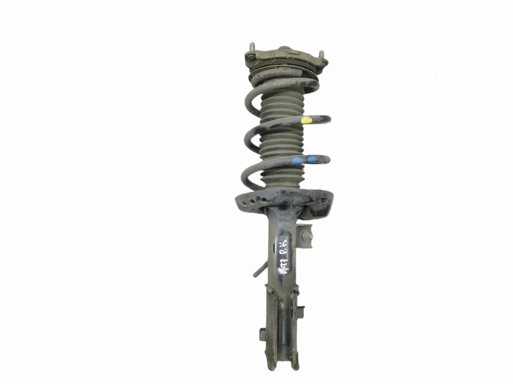 Front shock absorber/damper – left