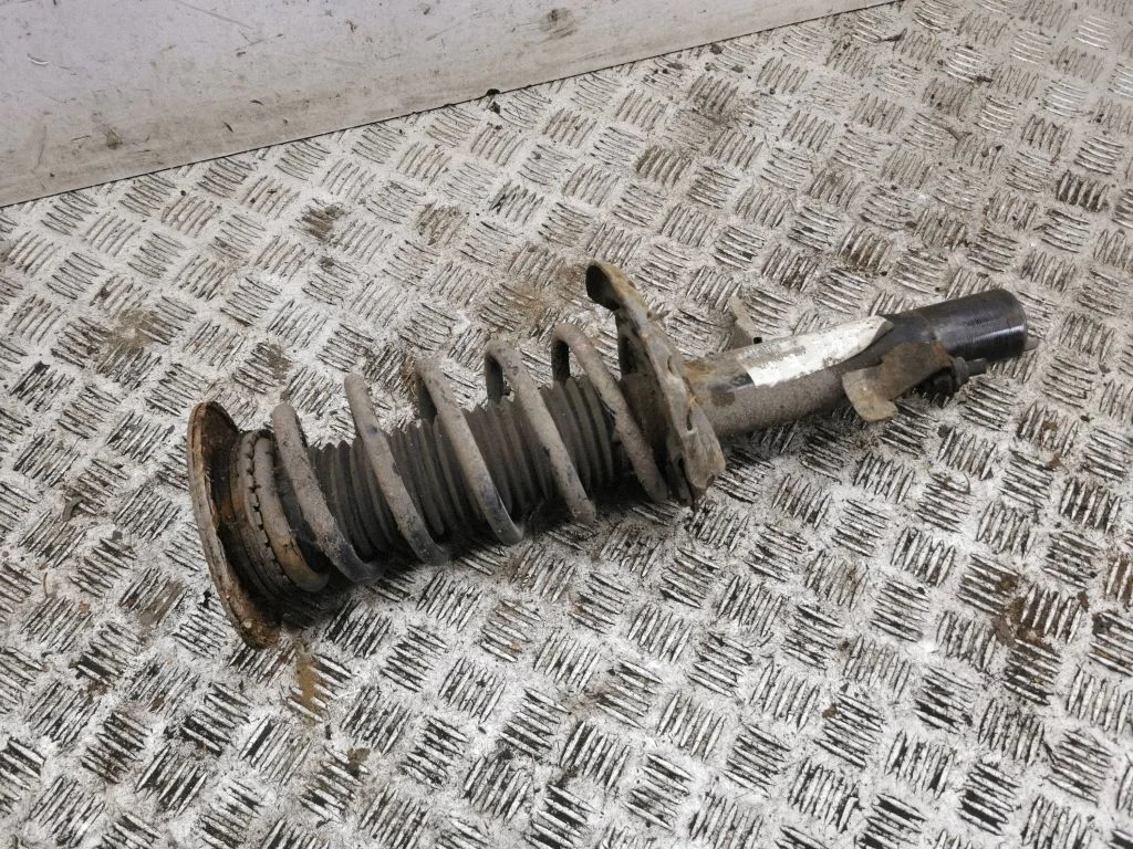 Front shock absorber/damper – left