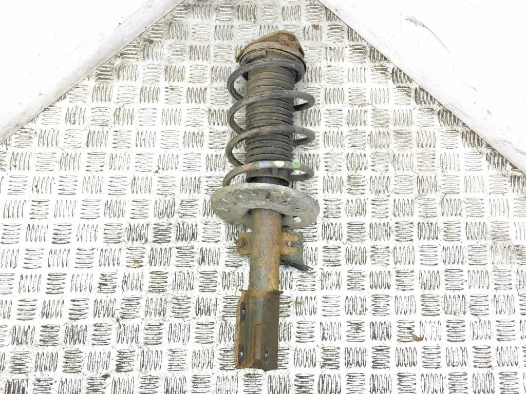 Front shock absorber/damper – left