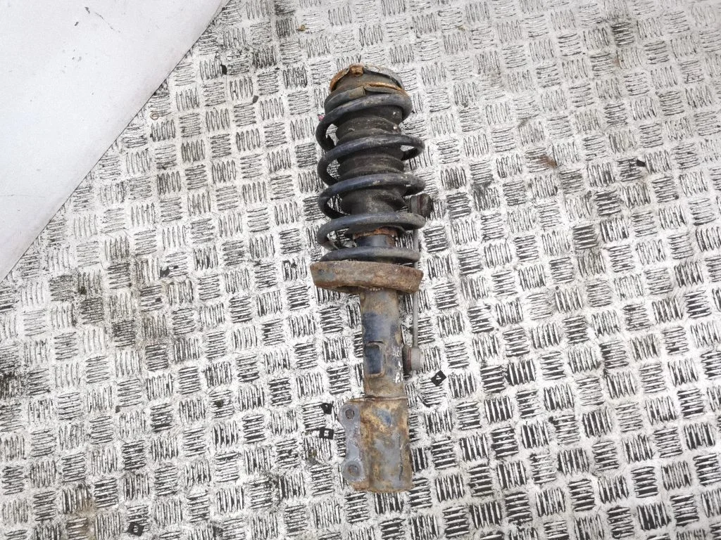 Front shock absorber/damper 824904001727