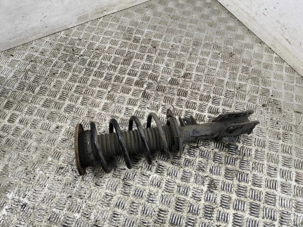 Front shock absorber/damper – left