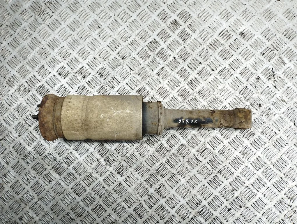 Front shock absorber/damper 22227491
