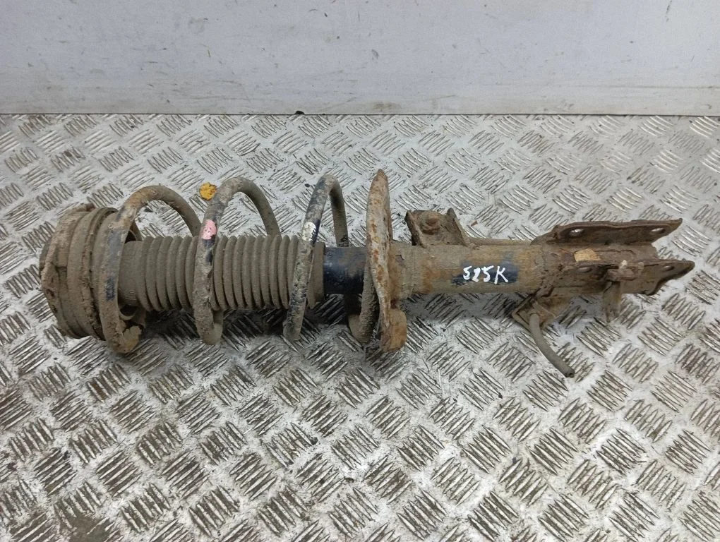 Front shock absorber/damper – left