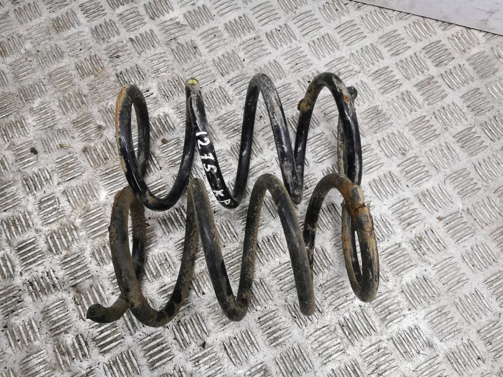 Front coil spring