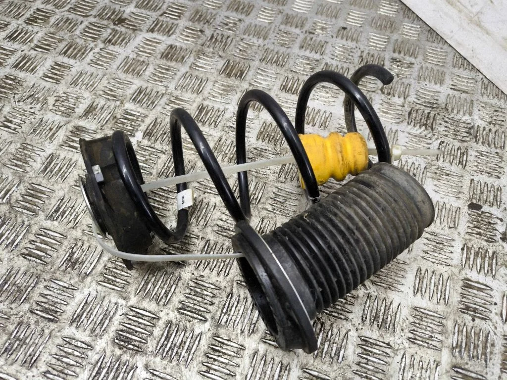 Front coil spring