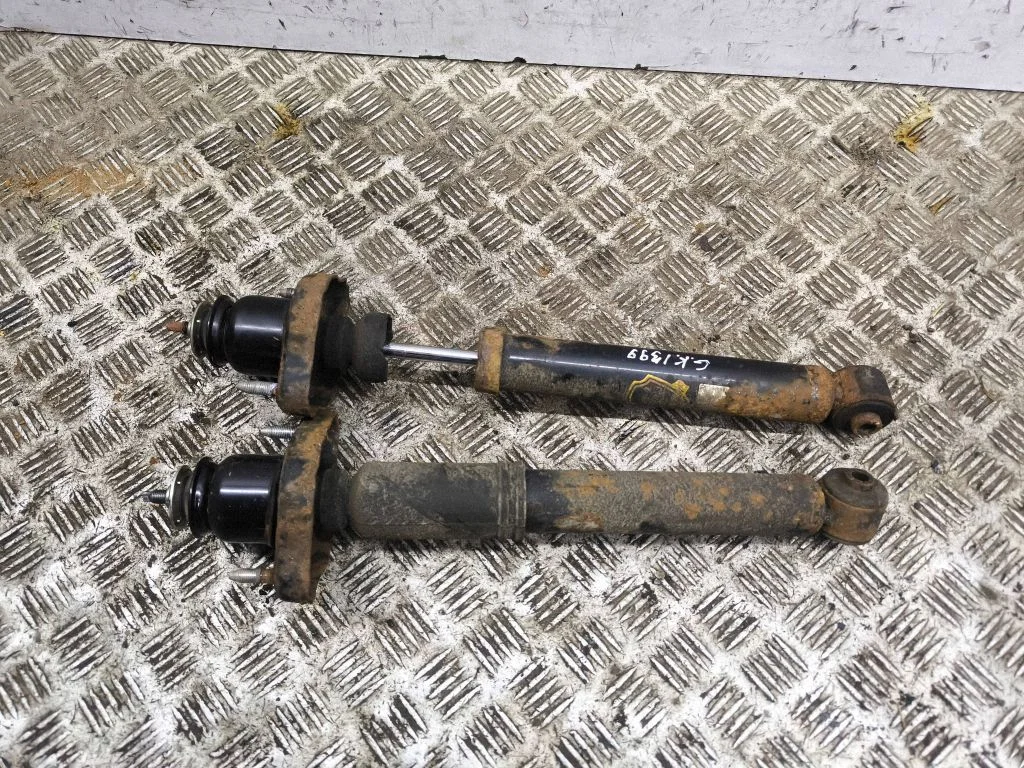Rear shock absorber/damper