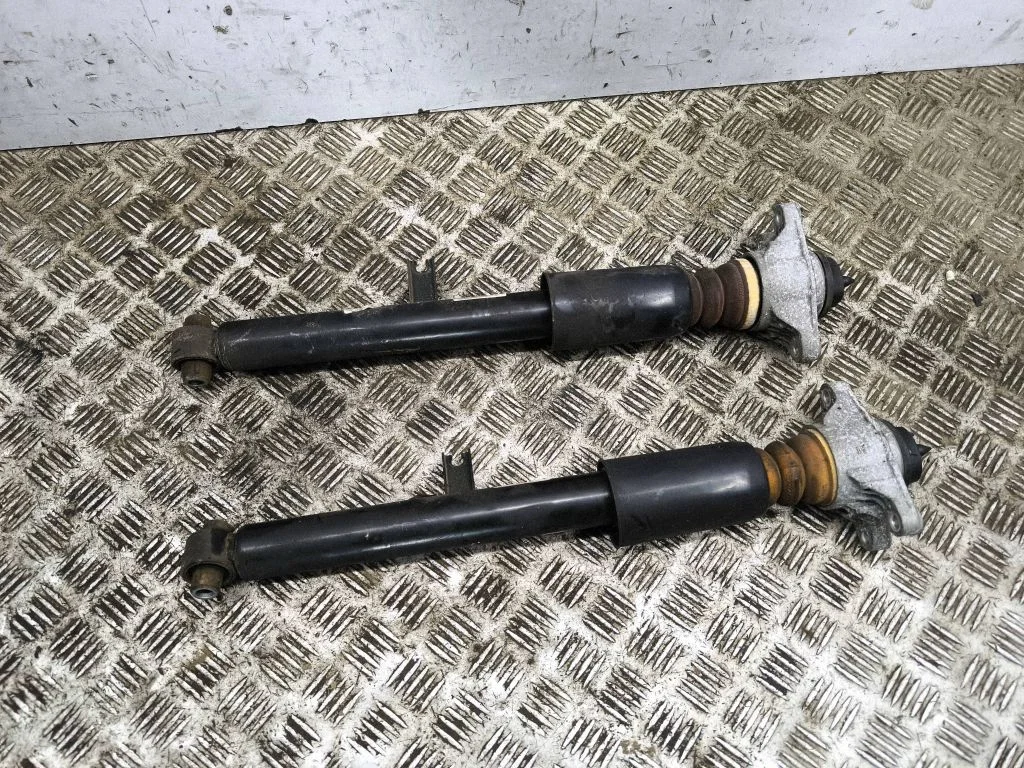 Rear shock absorber/damper 22350928
