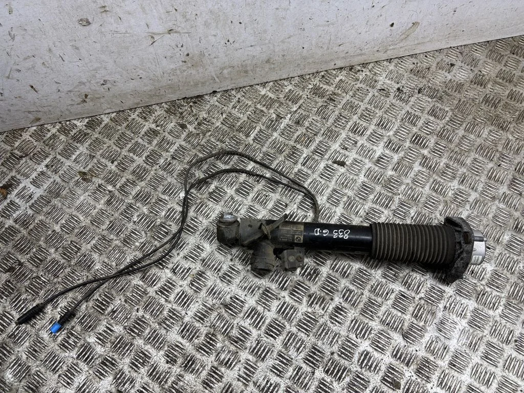 Rear shock absorber/damper 6875090