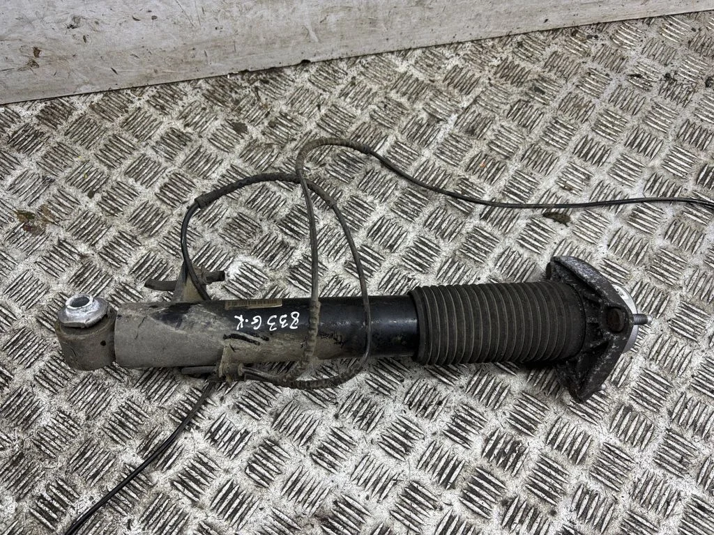 Rear shock absorber/damper 6875089
