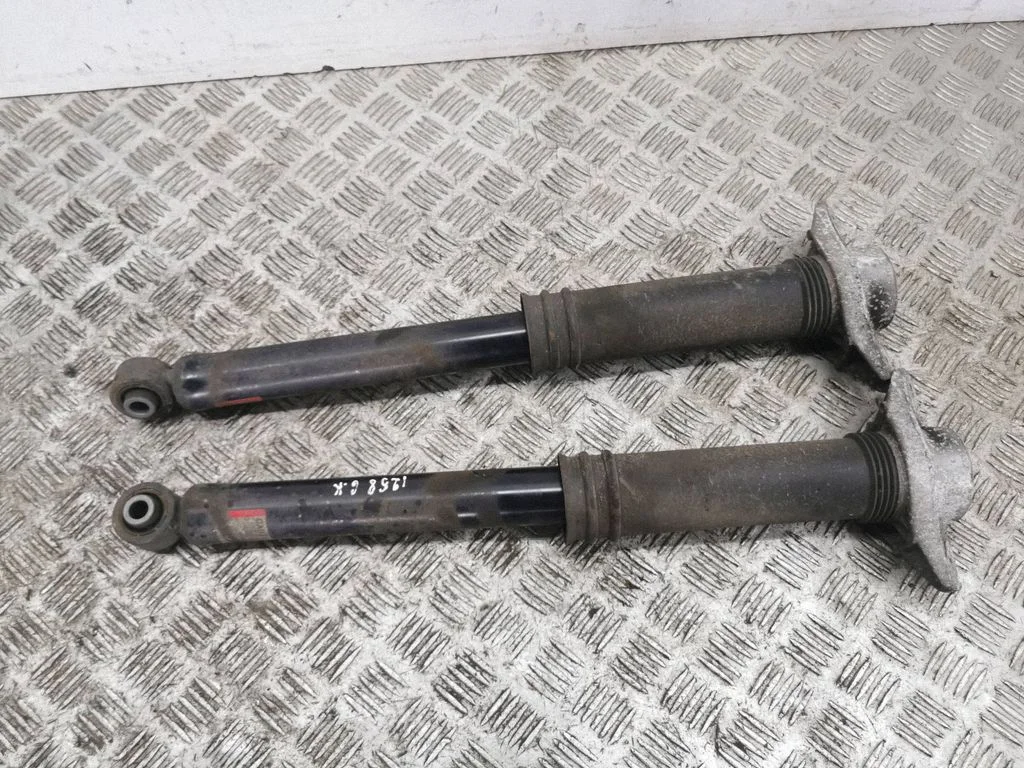 Rear shock absorber/damper