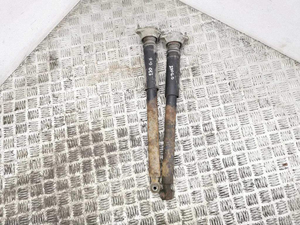 Rear shock absorber/damper