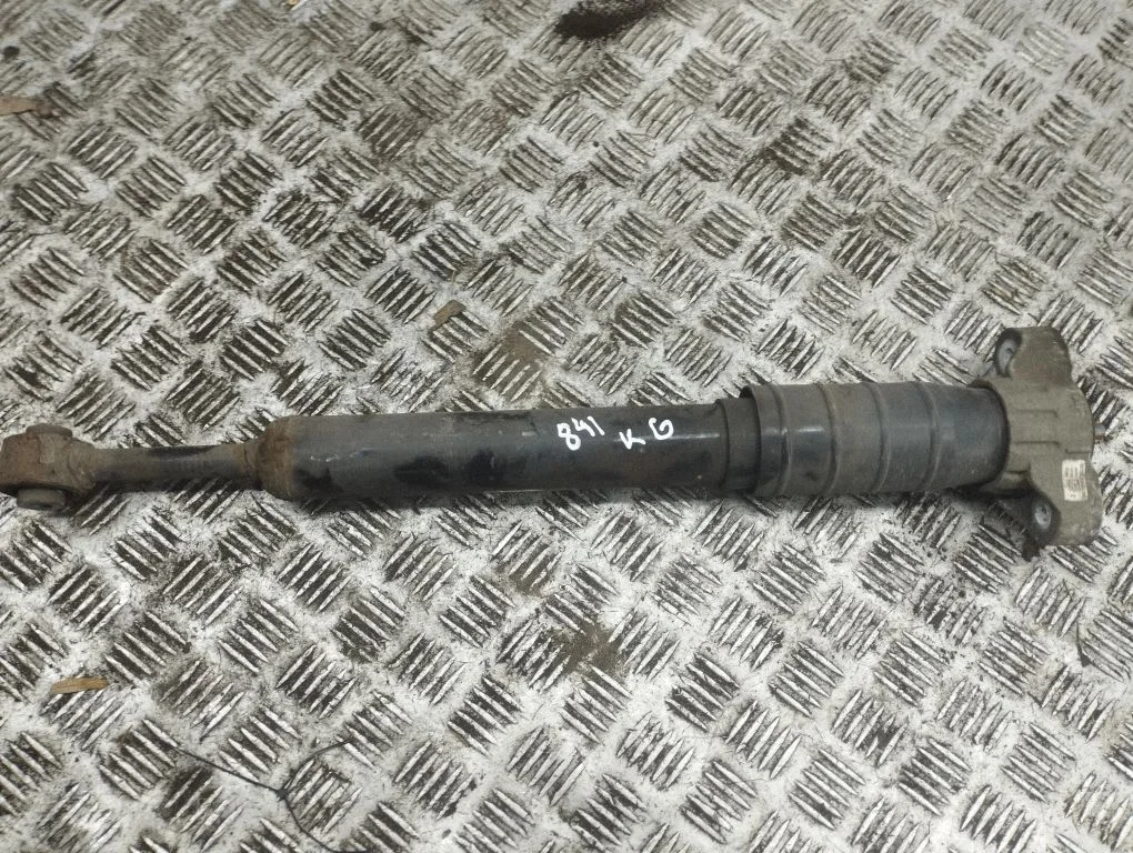 Tagumine amortisaator – vasak