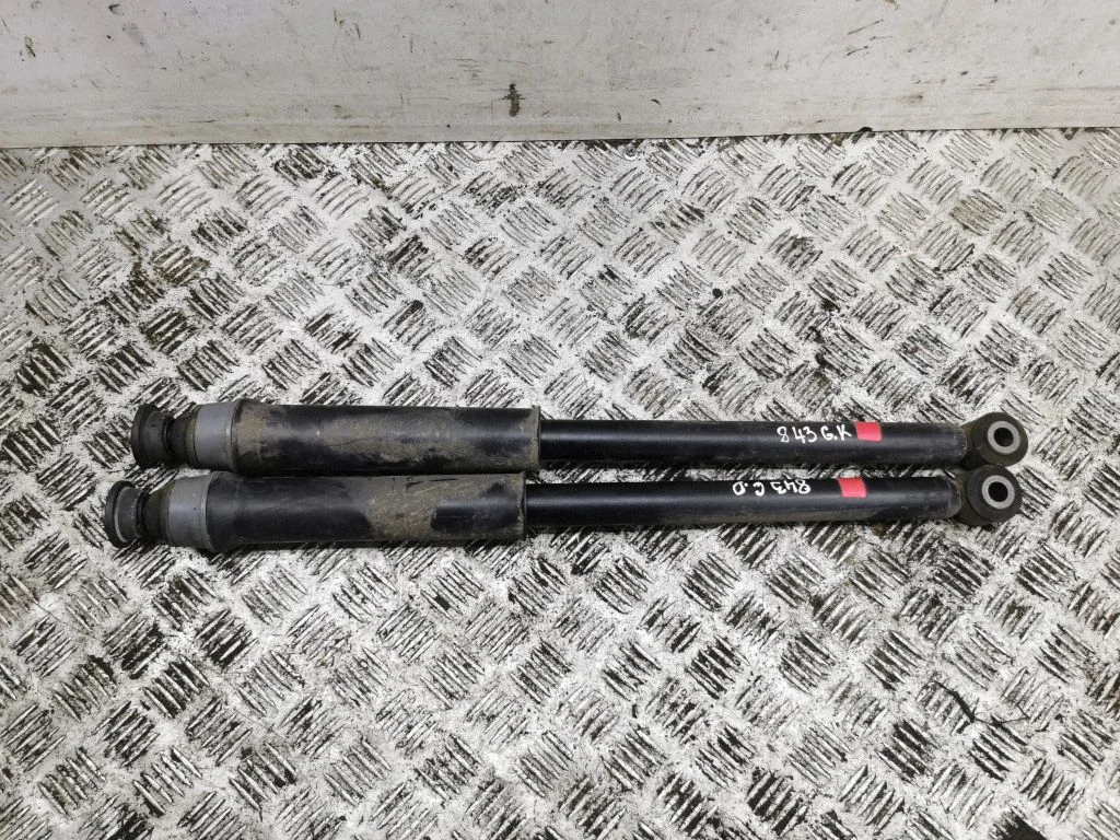 Rear shock absorber/damper
