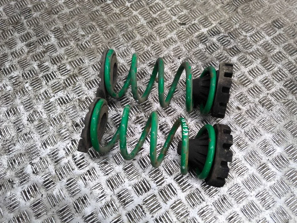 Rear coil spring