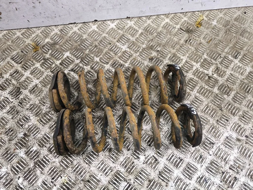 Rear coil spring