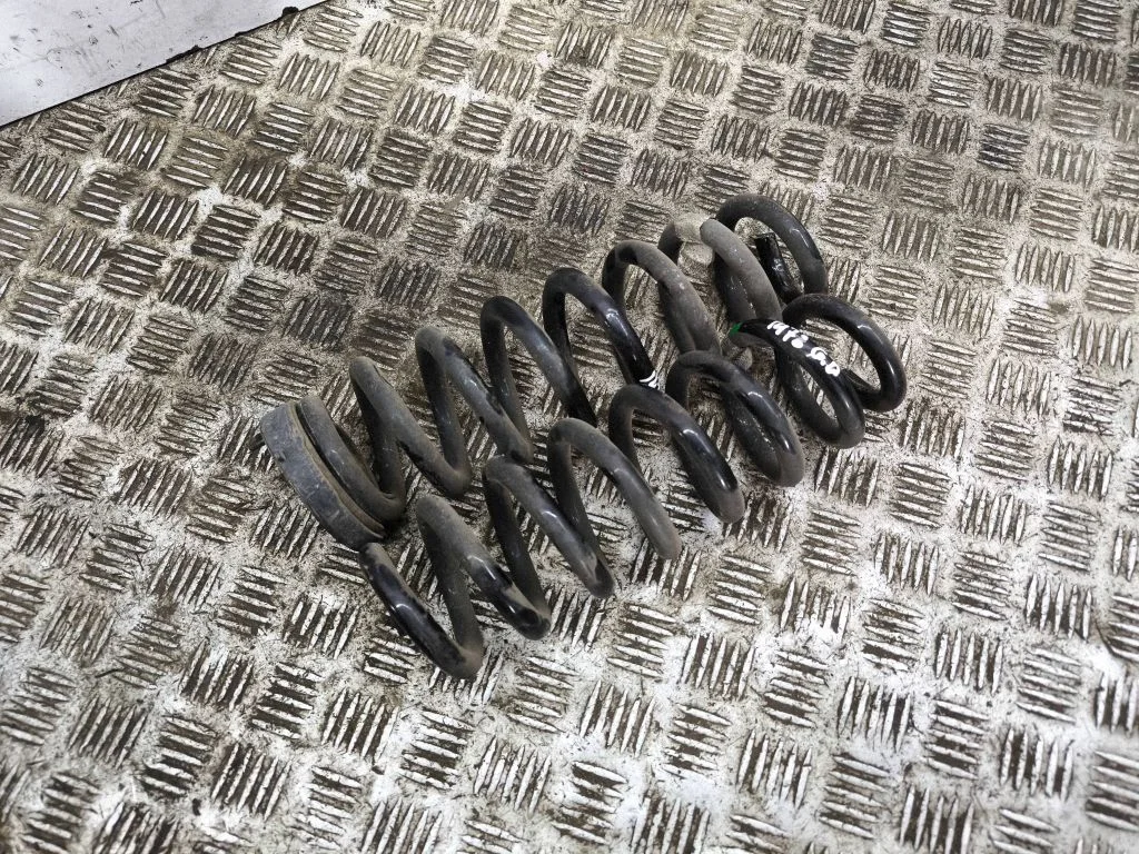Rear coil spring