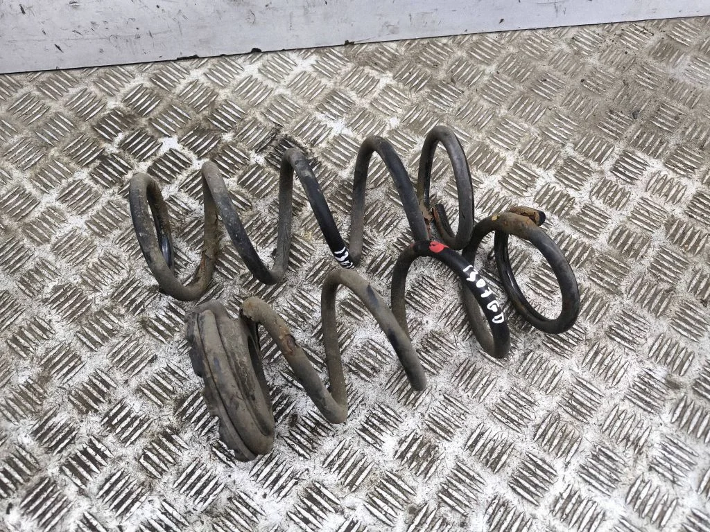 Rear coil spring