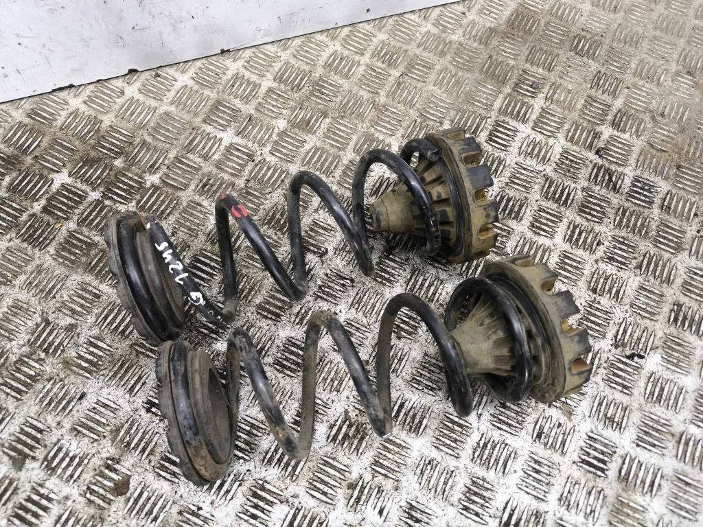 Rear coil spring