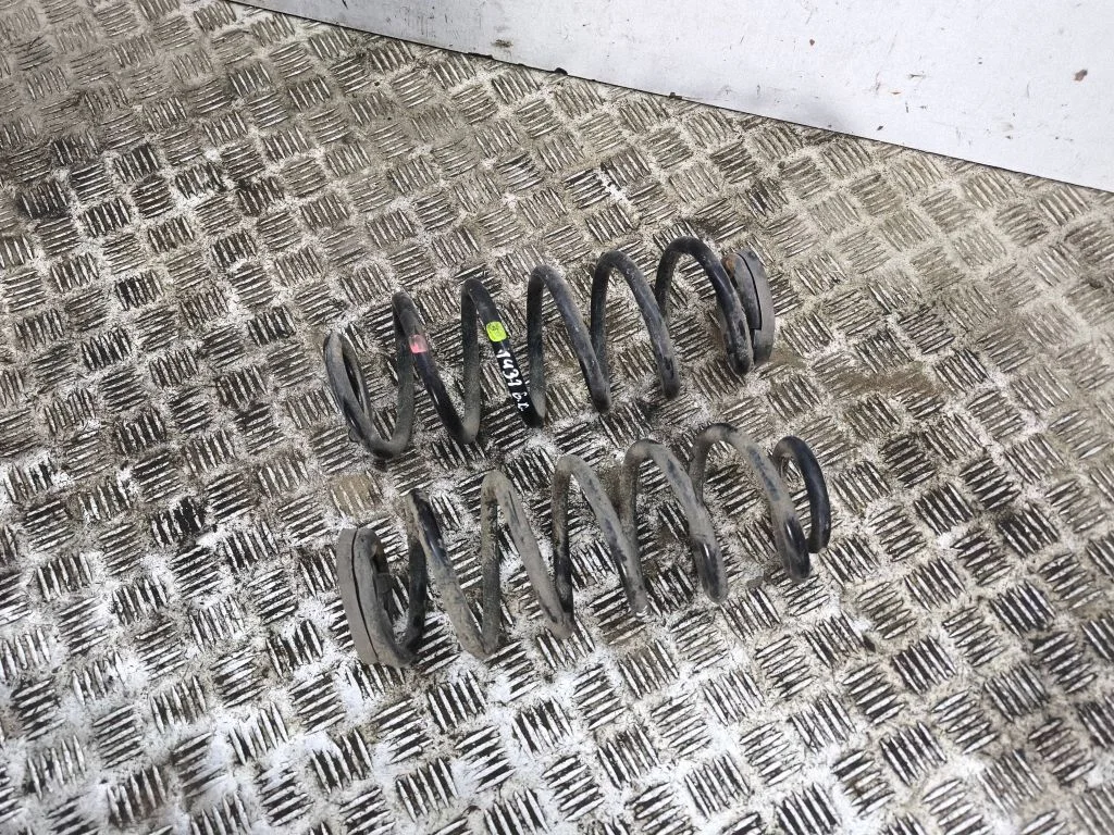 Rear coil spring