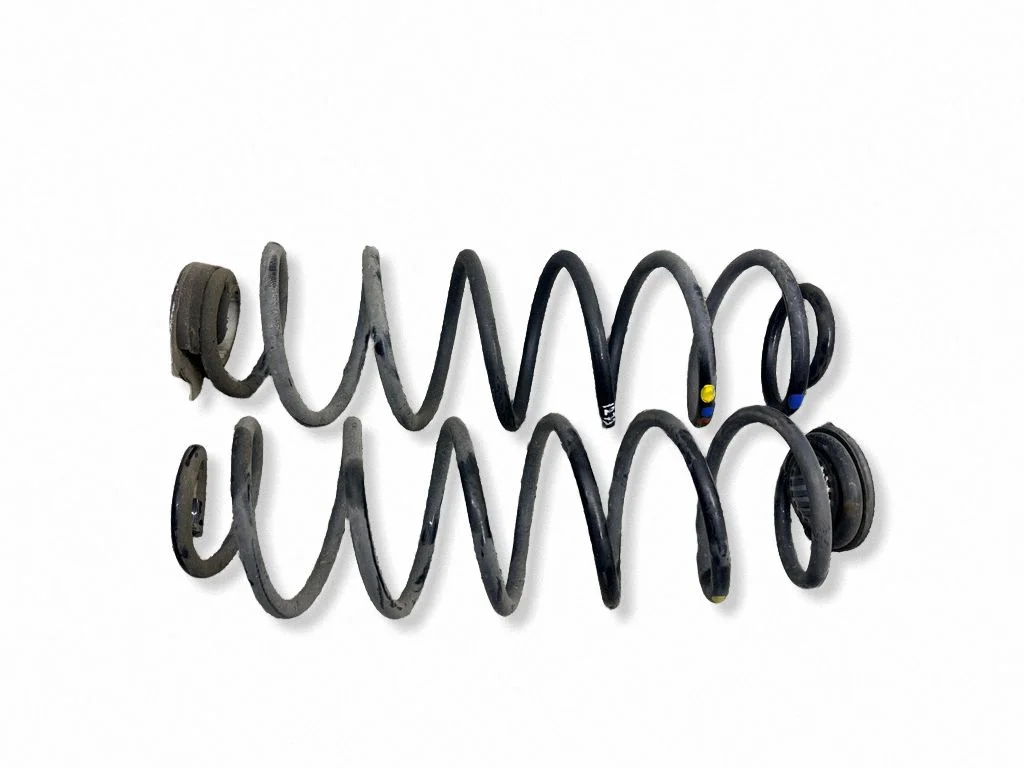 Rear coil spring