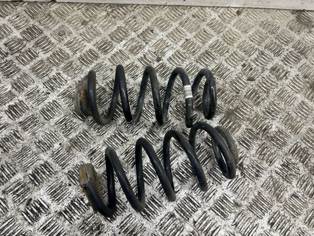 Rear coil spring