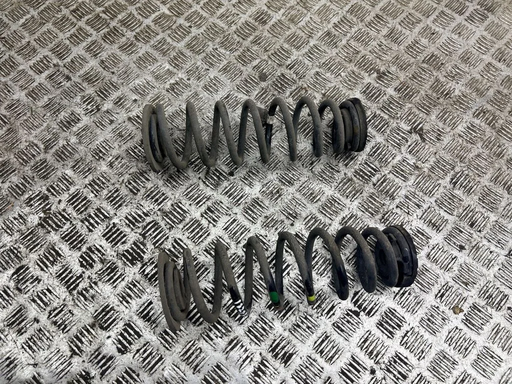 Rear coil spring