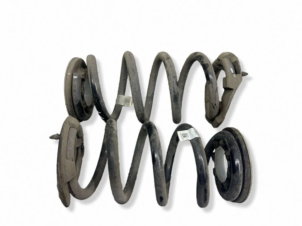 Rear coil spring