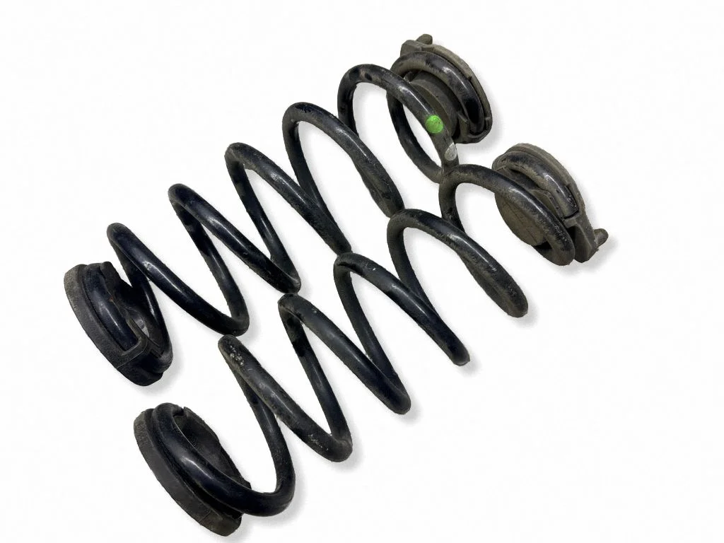Rear coil spring
