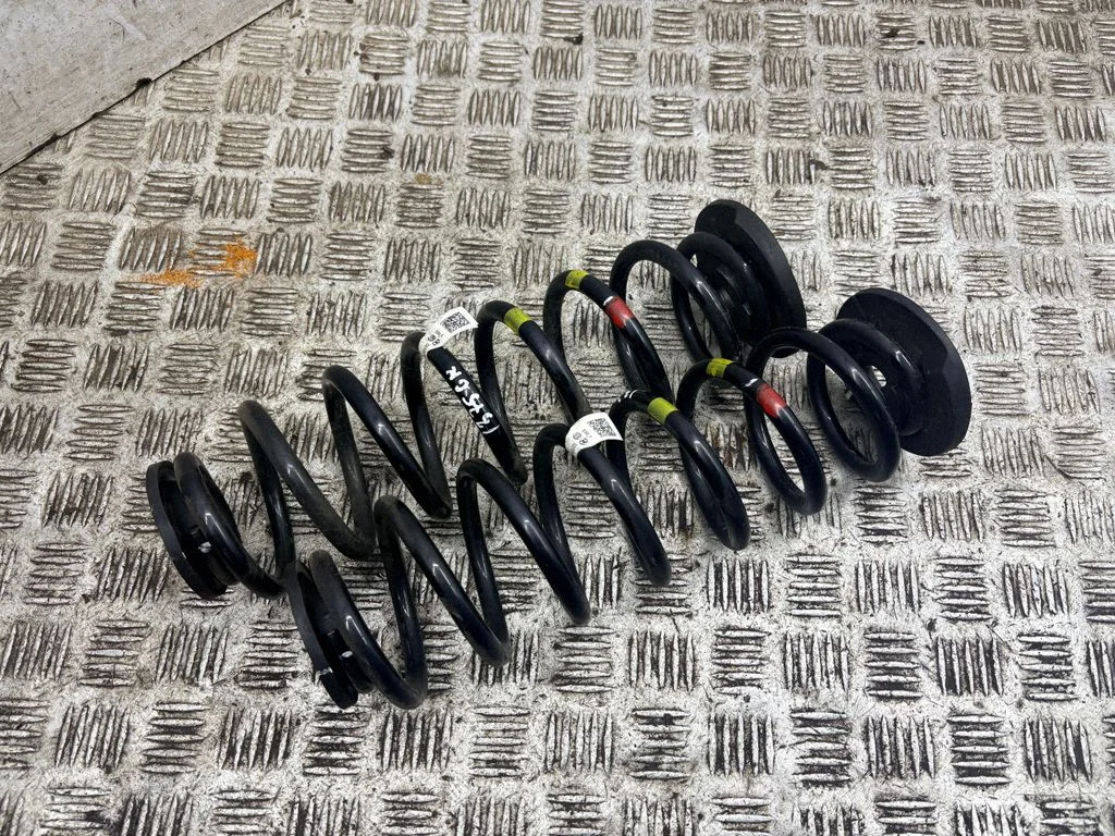 Rear coil spring