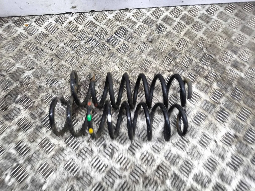 Rear coil spring