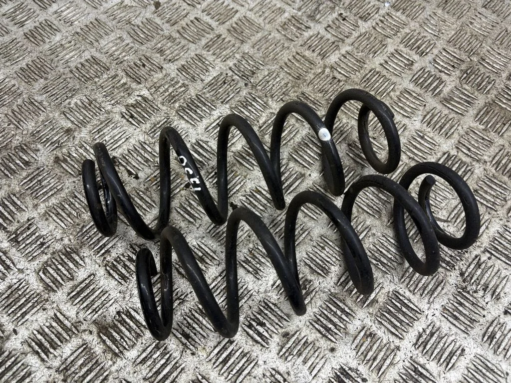 Rear coil spring