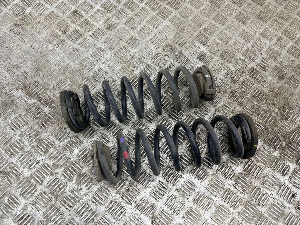 Rear coil spring