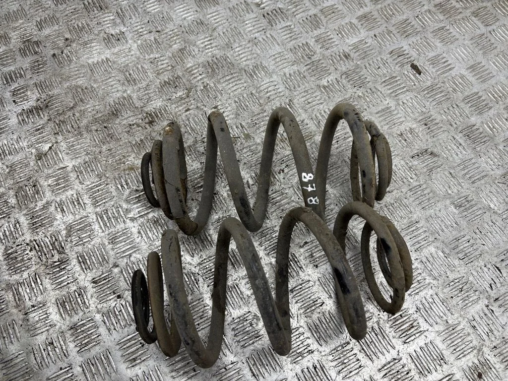 Rear coil spring
