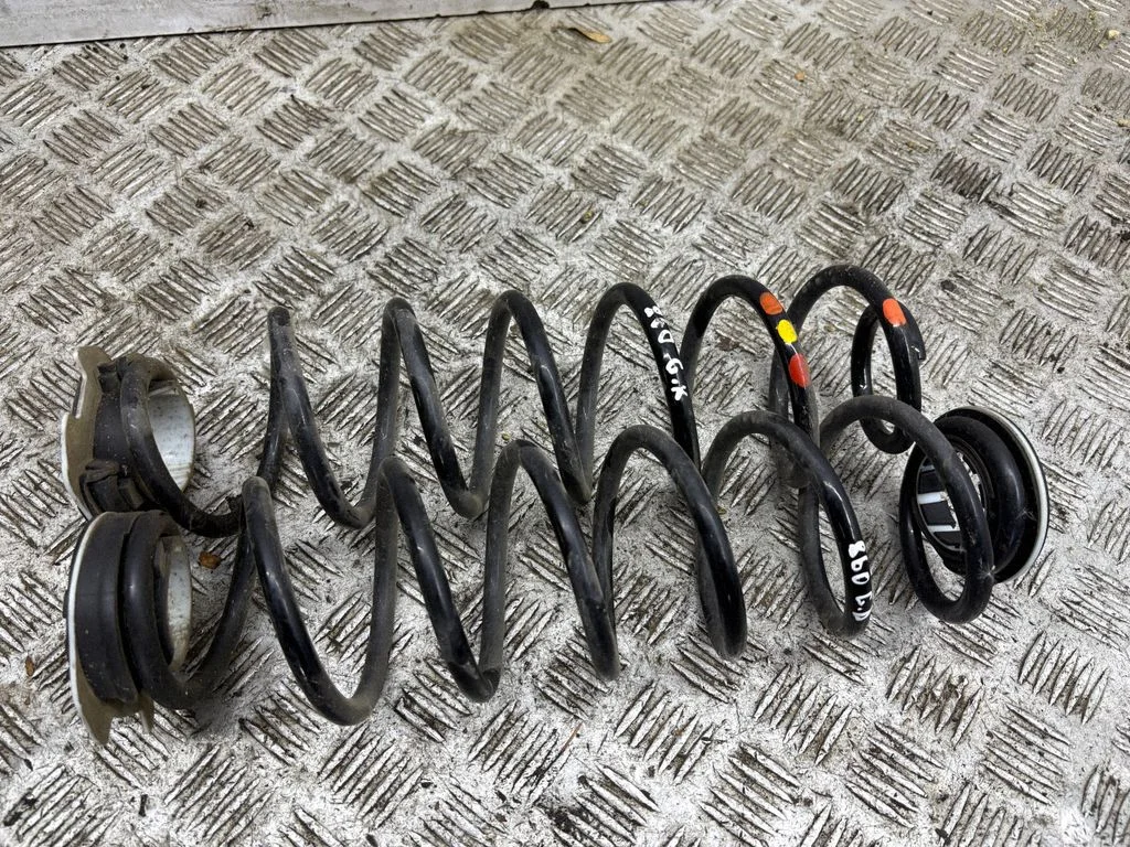 Rear coil spring