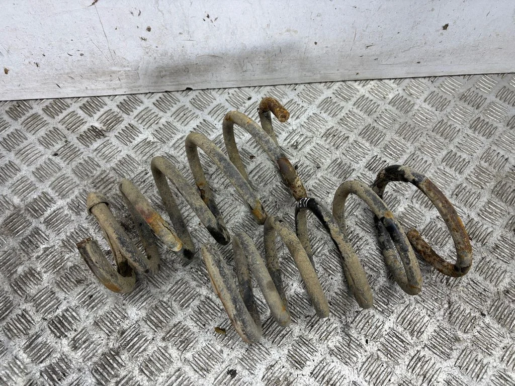 Rear coil spring