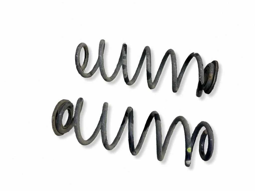 Rear coil spring